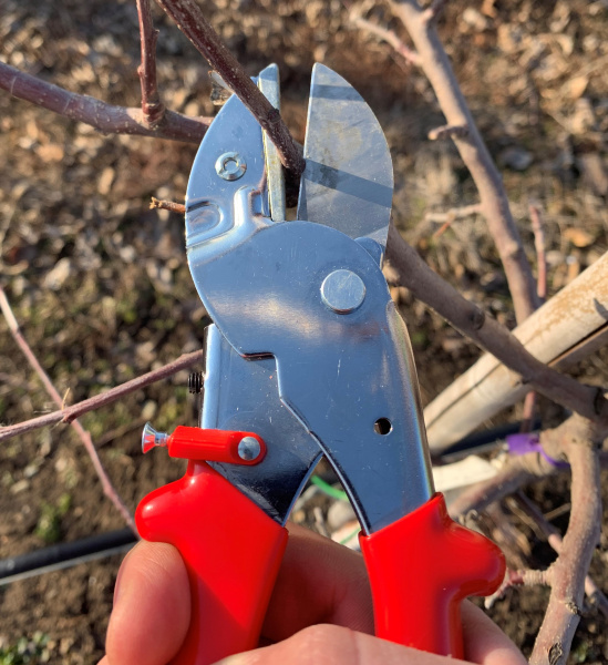 Секатор с наковальней GL006